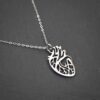 Anatomy Heart Necklace Silver By Zara Jewellers