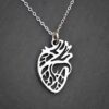 Anatomy Heart Necklace Silver By Zara Jewellers